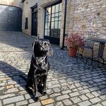 Amanda Thorp - @andsoathome - Instagram