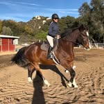 Amanda Thurston - @amandathurston_eq - Instagram