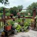 Mandy Tibbits - Facebook