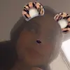 🐅Amanda fp🐅 - @amanda.s.tiger - TikTok