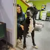 Amanda Tobias - @amandatobias266 - TikTok
