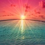 Amanda Tolbert - @tolbert3304 - Instagram