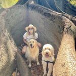 Amanda Tonkin - @mandytonkin - Instagram