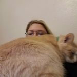 Amanda Trahan - @pinkpurlknits - Instagram
