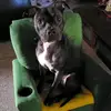 amandatrahan578 - @amandatrahan578 - TikTok