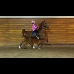 Amanda Tremper - @amandatremper - Instagram