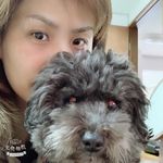 Amanda Tung - @tung_amanda - Instagram