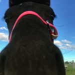 Amanda Usher - @oopsfixedit - Instagram