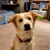 Amanda Usher - @amanda.usher1 - TikTok