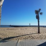 Amanda Vaccaro - @av.lunchboxdist - Instagram