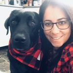 Amanda Valiquette - @amandavaliquette_ - Instagram