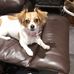Amanda Varley - Facebook