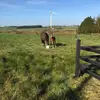 amandavogan971 - @amandavogan971 - TikTok