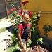 Amanda Van Voight - Facebook