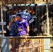 Mandy Reese Voldan - Facebook