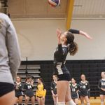 Amanda Doom - @amanda.volleyball - Instagram