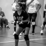 @_amanda.volley - Instagram