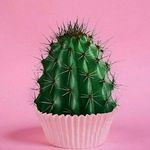 ewwwbacott - @amandavore_ - Instagram