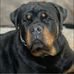 Amanda Waddle - Facebook