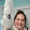 Amanda Waid Mclemore - @mandishouseofparrots - TikTok