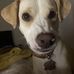 Amanda Wainer - Facebook