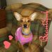 Amanda Waisner - Facebook