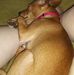 Amanda Waisner - Facebook