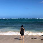 Amanda Wake - @pandawake - Instagram