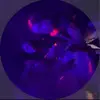 amanda - @amanda..waldron - TikTok