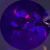 amanda - @amandawaldronnnn - TikTok