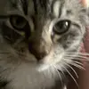 Amandawallin - @amandawallin - TikTok