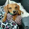 Amanda Wallingford - @amanda.wallingfor - TikTok
