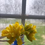 Amanda Wampler - @estey2008 - Instagram