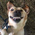 Amanda Warne - @moo082 - Instagram