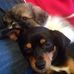 Amanda Warne - Facebook