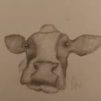 Amanda Warnock - Facebook