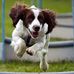 Amanda Watterson - Facebook