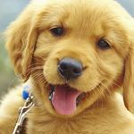 Amanda Watterson - @amanda.watterson.161 - Instagram