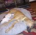 Mandy Watterson - Facebook