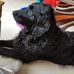 Mandy Watterson - Facebook