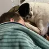 Amanda Watts - @amandawatts7 - TikTok
