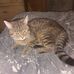 Amanda Wehrle - Facebook