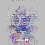 Amanda Welcome - @amand.awelcome - Instagram