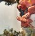 Amanda Westerfield - Facebook