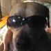 Amanda Whaley - Facebook