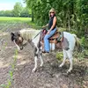 Amanda Whaley - @amandawhaley57 - TikTok