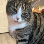 Amanda Whiting - @cheekycow73 - Instagram