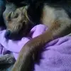 Amanda Whiting - @userl7c4llyuhx - TikTok