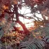 Amanda Whiting - @amanda.whiting3 - TikTok