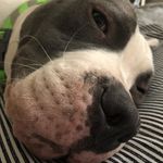Amanda Widner - @mandacw05 - Instagram
